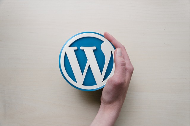 Creare e inserire contenuti personalizzati in WordPress