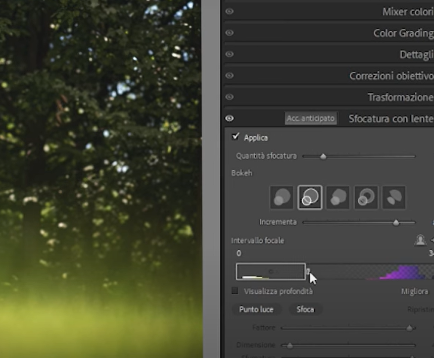 screen lightroom guida